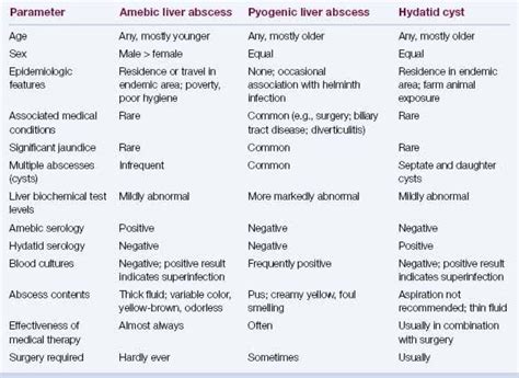Different Types Of Liver Abscess MEDizzy