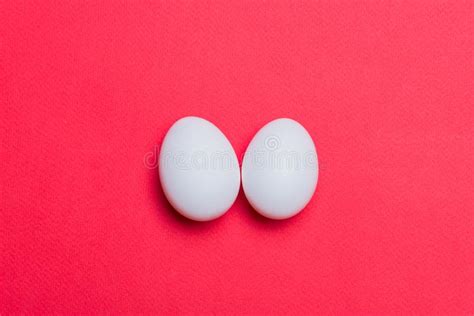 Two White Eggs Stock Photo Image Of Background Animal 113710278