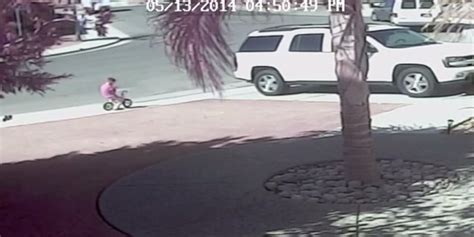 Hero Cat Saves Boy From Dog Attack In Amazingly Candid Video Huffpost
