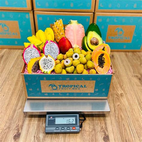Taste The Tropics Fruit Box A Tropical And Exotic Fruit Variety Box
