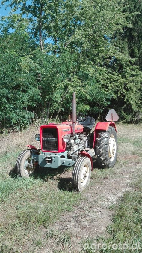 Foto Traktor Ursus C 330 772179 Galeria Rolnicza Agrofoto