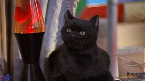 9 Reasons Salem From Sabrina The Teenage Witch Was The Greatest Cat