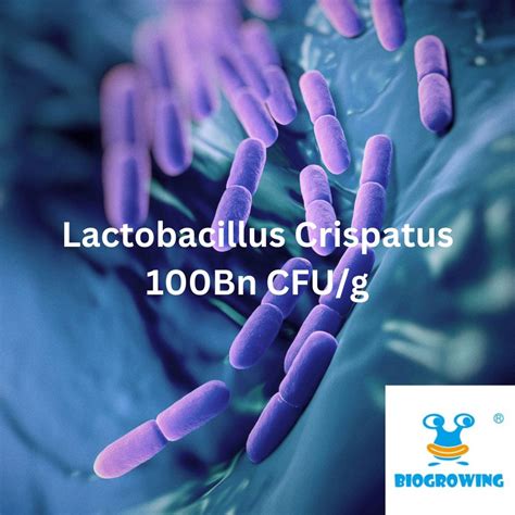 Lactobacillus Crispatus 100bn Cfug Pharmint
