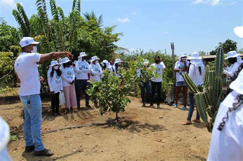 Famílias quilombolas aprendem práticas agroecológicas para viver melhor