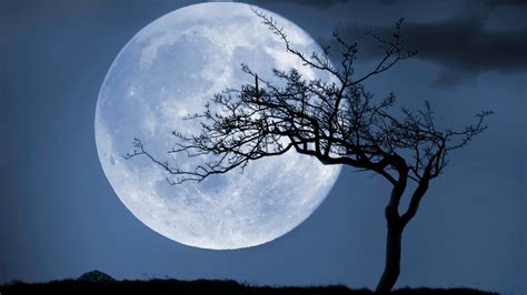 Worm, Strawberry, Blue: Every Full Moon Has a Name | HowStuffWorks