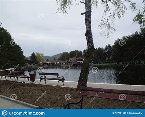 Lake On The Zlatibor Mountain In Serbia Stock Image Image Of Trees