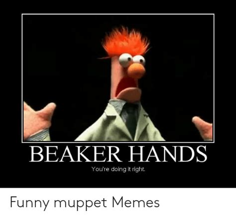 🐣 25 Best Memes About Funny Muppet Memes Funny Muppet Memes