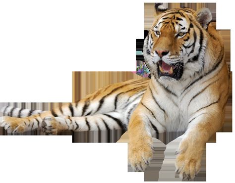 Uncle Grandpa Giant Realistic Flying Tiger