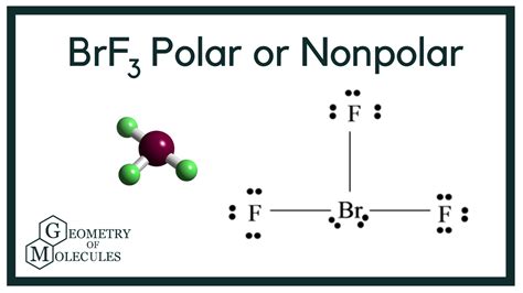 Brf3 Polar Or Nonpolar Bromine Trifluoride Molecules Chemical