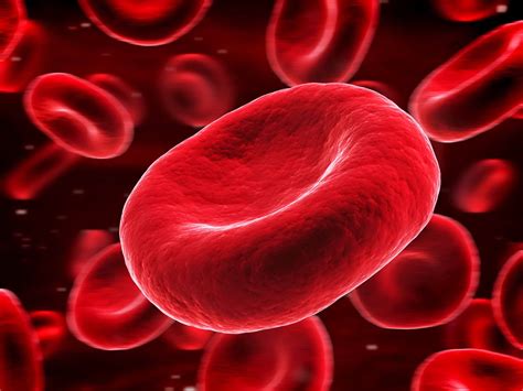 Knowing why your doctor bought an rbc count and what the results of your rbc count mean is important in understanding how it associates with your health. Red Blood Cells Function - Causes of Elevated, High, Large