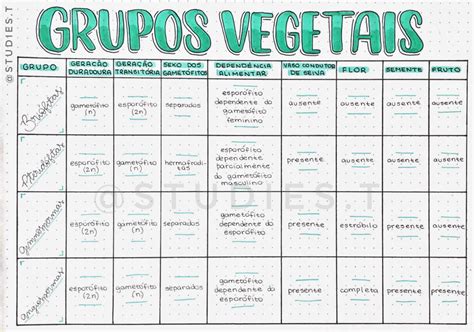 Vegetais Tipo A B E C