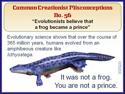 Common Creationist Misconceptions Dinosaurs Birds And Fossils