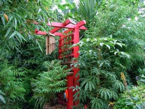 Alternative Eden Exotic Garden Red Pergola Restoration Begins