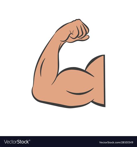 Flexing Arm Muscles Diagram Muscular Male Flexing Bicep Arm Muscle