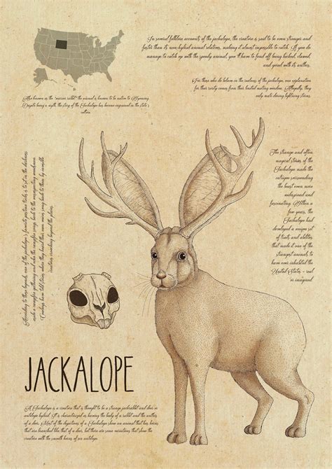 Jackalope American Cryptid A4 Print - Etsy Canada | Jackalope, Not deer