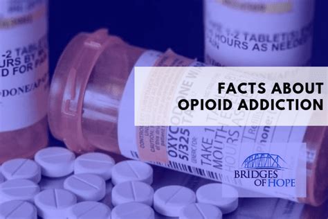 Facts About Opioid Addictions Call For Help Now At 888 481 8803