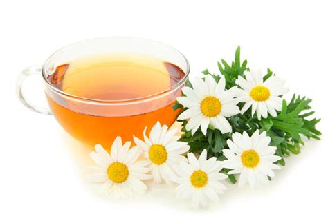 Hippurate helps stimulate the immune system as. Best Chamomile Tea - Chamomile-Benefits.com
