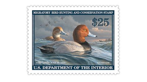 2022 Federal Duck Stamp With Engraved Security Feature To Debut June 24