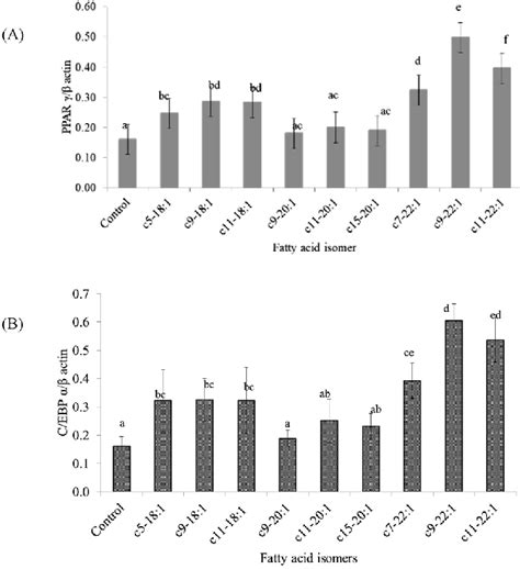 The Effect Of Different LC MUFA PIs And Control 0 5 FA F R E E B S A O