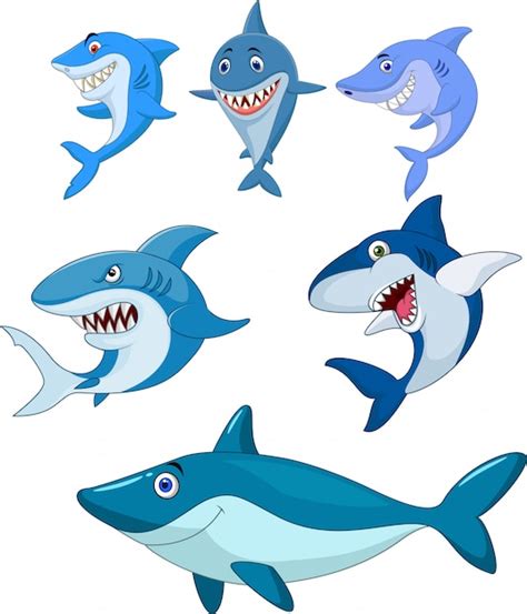Colección De Tiburones De Dibujos Animados Vector Premium