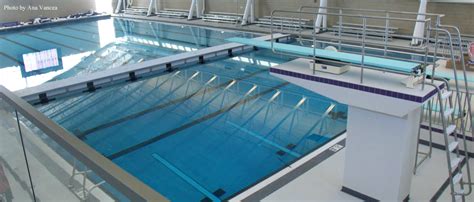 Dive Into Niles Norths New And Improved Aquatics Facility North Star