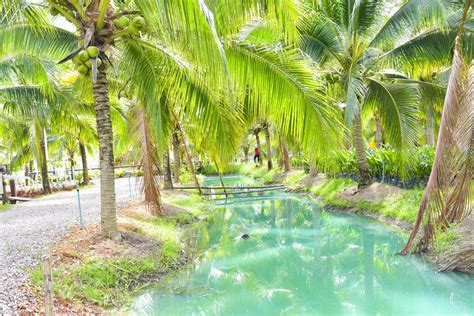 Coconut Farms And Beautiful Turquoise Waters In Southern Thailand