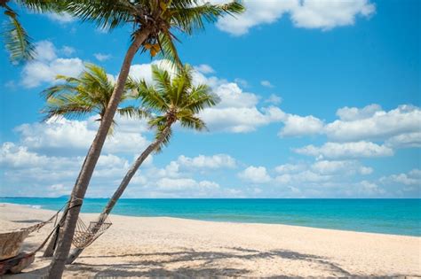 Premium Photo Exotic Tropical Beach Landscape For Background Or