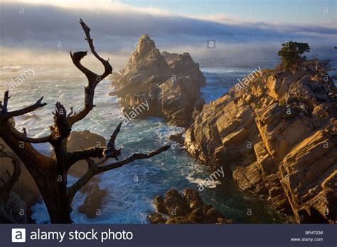 Point Lobos State Reserve Ca Lingering Offshore Fog Bank