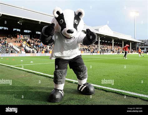 Mascot Billy The Badger Fulham Stock Photo Alamy