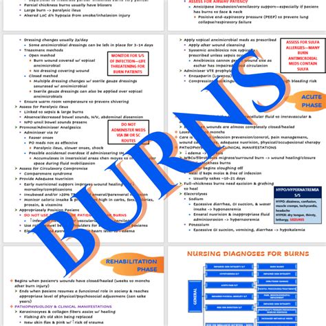 Burns Nursing Notes Scholarly Nurse