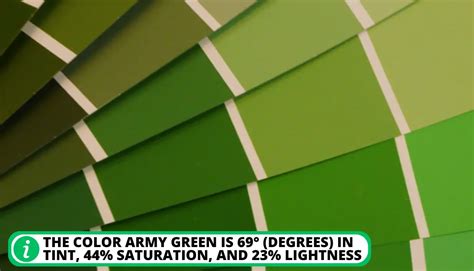 What Shade Of Green Is Army Green 5 Essential Points To Know