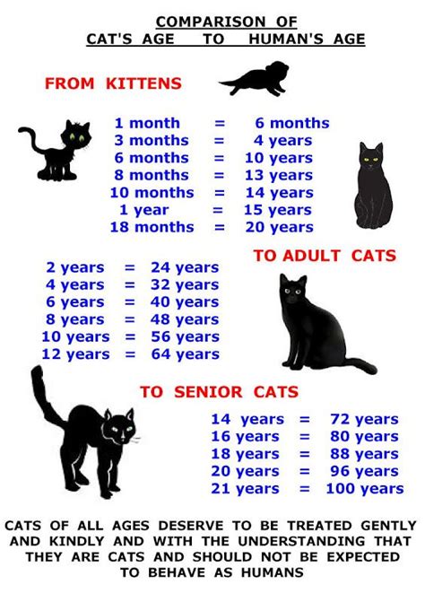 One to seven years old. 177 best Cat Nutrition images on Pinterest | Cat food ...