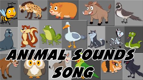 Animal Sound Song These Are The Sounds That Animals Make Rhymes By