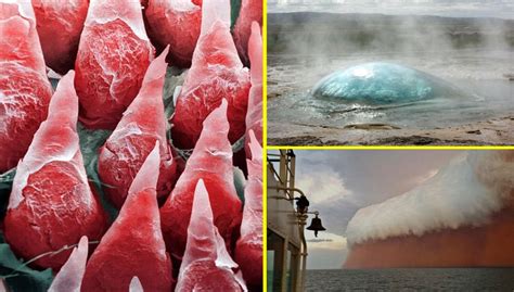 29 Fascinating Photos Youve Probably Never Seen Before Photo On Sunsurfer
