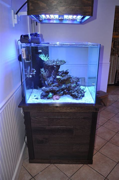 Due to their immense popularity, various manufacturers have. I'm bored, let's see your reefs. | Aquarium fish tank ...