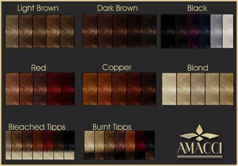 Auburn Brown Hair Color Charts Last Hair Idea