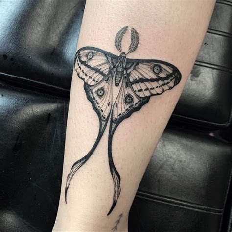 30 Best Moth Tattoo Designs With Meaning