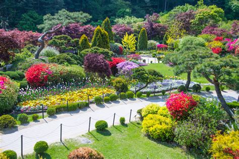 Autumn Foliage Trekking Tour Korea National Arboretum And Garden Of