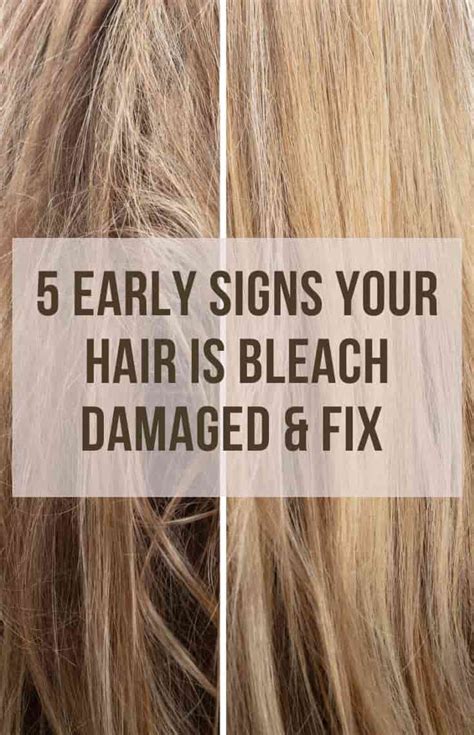5 Early Signs Your Hair Is Bleach Damaged Proven Fix