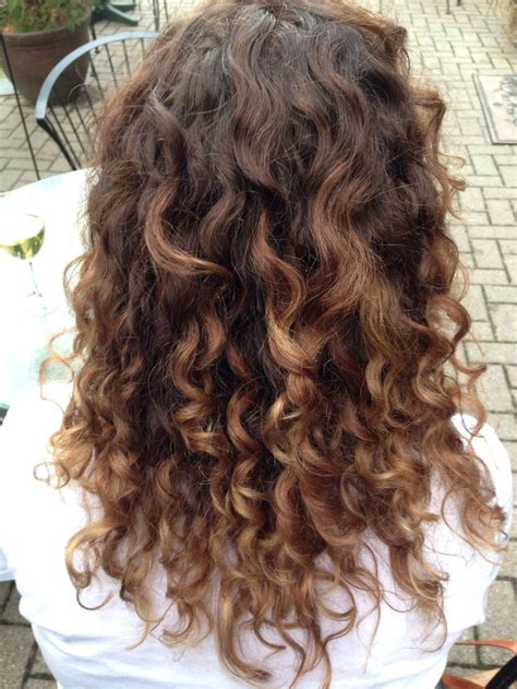 Hairstyle Trends 27 Gorgeous Examples Of Ombre For Curly Hair Photos Collection Dark Brown