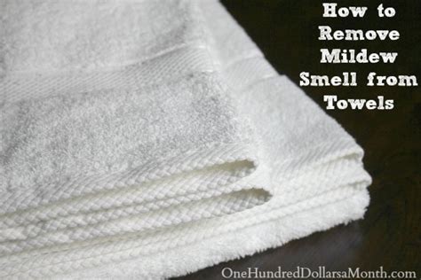 How To Remove Mildew Smell From Towels One Hundred Dollars A Month