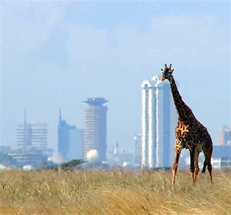 Top 10 Best Places To Visit In Nairobi Kenya Hubpages