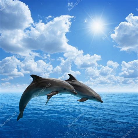 Dolphins Jumping — Stock Photo © Ig0rzh 29807225