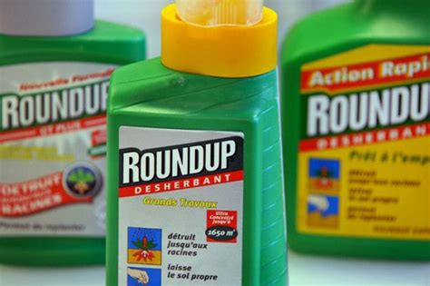 Roundup Herbicide Was Manufactured By Monsanto And Is One Of The Worlds