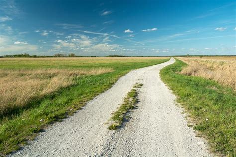 A Gravel Road Through Wild Meadows And Clear Skies Stock Photo Image