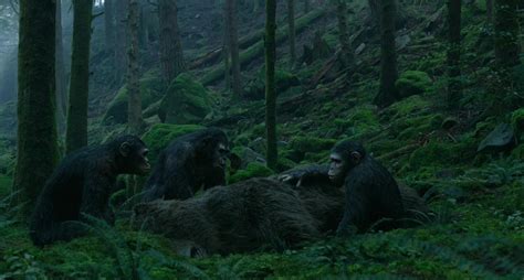 Dawn of the planet of the apes (2014). Download Dawn Of The Planet Of The Apes (2014) 720p Kat ...