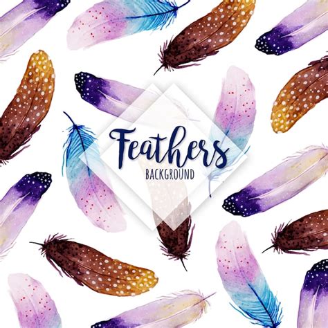 Premium Vector Beautiful Watercolor Feathers Background