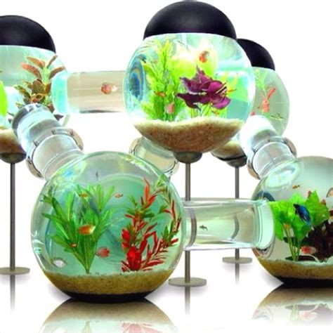 42 Best Betta Fish Tank Ideas Images On Pinterest