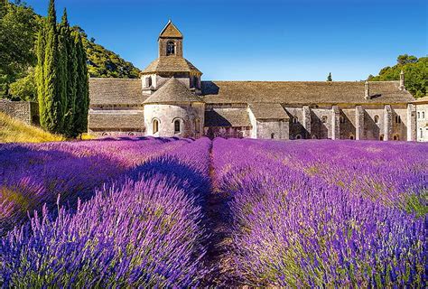 1920x1080px 1080p Free Download Provence France Building Lavender