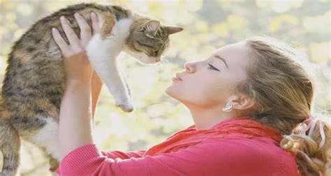 در تقویم خورشیدی فصول سال دقیقا با شروع ماه شروع و پایان میپذیرد برخلاف تقویم اروپایی که فصول وسط ماه. أمراض القطط وطرق علاجها عند الأطفال - مشاهير